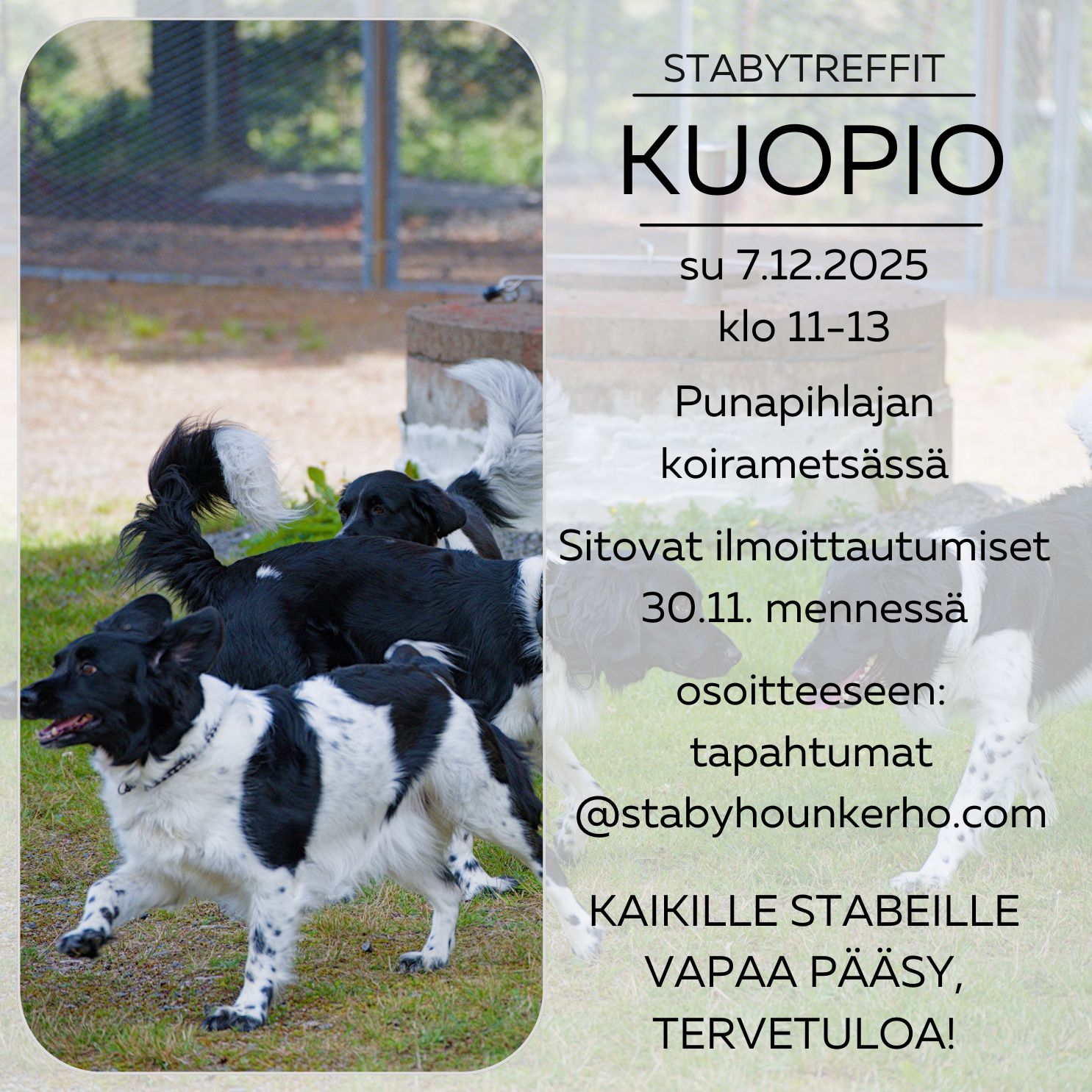 Staby dating 7.12.2025 Kuopio