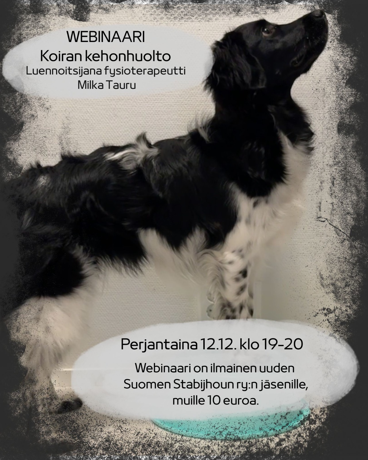 Webinaari koiran kehonhuolto 12.12.2025 